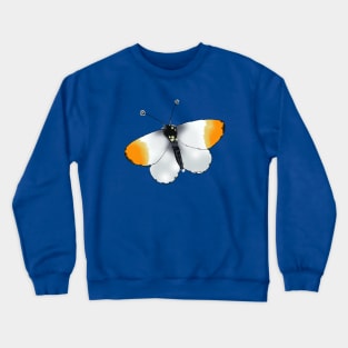 orange-tip butterfly Crewneck Sweatshirt